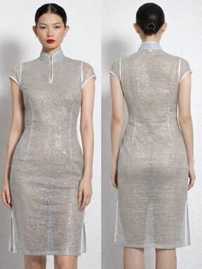 NWT Shanghai Tang Light Blue Sheer Shimmer Oriental Midi Dress